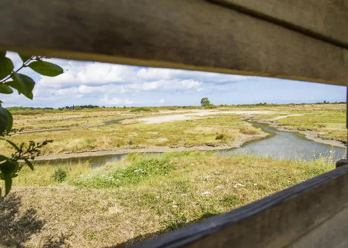 Lumineux Avec Balcon Et Parking à Deux Pas De La - Fr-1-788-56